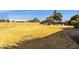 Large backyard with grassy area and dog agility equipment at 1902 E Bruce Ave, Gilbert, AZ 85234