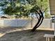 Backyard with a tree providing shade at 660 W 22Nd Ave, Apache Junction, AZ 85120