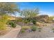 Landscaped front yard with desert plants and pathway at 11127 E Mirasol Cir, Scottsdale, AZ 85255