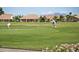 Golf course putting green with background houses at 25010 S Foxglenn Dr, Sun Lakes, AZ 85248