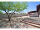 Expansive backyard with mature trees, a covered patio, and drought-tolerant landscaping at 2949 E Willow Ave, Phoenix, AZ 85032