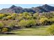 Beautiful mountain views from the backyard of this property, with mature trees and grass at 6616 W Side Canyon Trl, Phoenix, AZ 85083