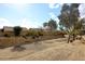 Landscaped backyard with desert plants at 6657 E Regina St, Mesa, AZ 85215