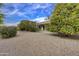 Landscaped front yard with gravel and citrus trees at 17733 N Escalante Ln, Surprise, AZ 85374
