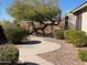 Charming walkway lined with bushes, leading to a well-maintained home at 2335 W Muirfield Dr, Anthem, AZ 85086