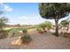 Landscaped backyard with desert landscaping, patio furniture, and golf course view at 27062 W Behrend Dr, Buckeye, AZ 85396