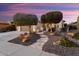 House exterior with landscaping, a walkway and two olive trees in the front at 27062 W Behrend Dr, Buckeye, AZ 85396