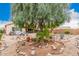 Landscaped backyard with desert plants and gravel at 37110 W Leonessa Ave, Maricopa, AZ 85138