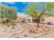 Landscaped backyard with desert plants and gravel at 37110 W Leonessa Ave, Maricopa, AZ 85138