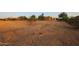 Spacious lot with gravel and potential for landscaping at 37213 N 17Th Ave, Phoenix, AZ 85086