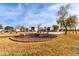 Large backyard with firepit, basketball court, and plenty of space for recreation at 521 E Lehi Rd, Mesa, AZ 85203
