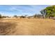 Expansive pastureland with various structures and trees in the background at 521 E Lehi Rd, Mesa, AZ 85203