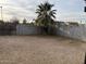 Large backyard with a palm tree and a gate at 1508 E Todd E Dr, Tempe, AZ 85283