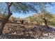 Landscaped area with desert plants and seating at 4401 E Sunset Dr, Phoenix, AZ 85028
