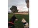 Two dogs enjoying a community green space at 7750 E Broadway Rd # 125, Mesa, AZ 85208