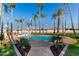 Inviting pool area with palm trees and a lush lawn for outdoor enjoyment and relaxation at 1859 N Val Vista Dr, Mesa, AZ 85213