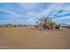 Large backyard with storage shed and desert landscaping at 197 N Pottebaum Ave, Casa Grande, AZ 85122