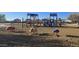 Fun community playground with ladybug, bee and car spring riders at 3481 N 309Th Ln, Buckeye, AZ 85396