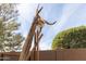 Unique western-themed backyard decor with longhorn skull at 3836 N Hidden Canyon Dr, Florence, AZ 85132