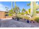 Landscaped backyard with cacti and flagstone at 9428 W Taro Ln, Peoria, AZ 85382