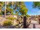 Charming water feature with a wooden footbridge at 9428 W Taro Ln, Peoria, AZ 85382