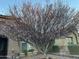 Landscaped front yard with flowering tree and well-maintained bushes creating charming curb appeal at 10851 E Sonrisa Ave, Mesa, AZ 85212