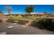 Landscaped backyard with grassy area and access gate at 25239 S Glenburn Dr, Sun Lakes, AZ 85248