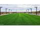 Expansive community lawn with string lights and benches at 4235 E Brook Lynn Pl, San Tan Valley, AZ 85143