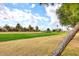 Community view of homes and golf course at 2329 N Recker Rd # 23, Mesa, AZ 85215