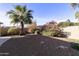 Landscaped backyard with gravel and desert plants at 23610 S Desert Moon Ct, Sun Lakes, AZ 85248