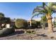 Landscaped front yard with desert plants and palm trees at 23610 S Desert Moon Ct, Sun Lakes, AZ 85248
