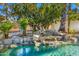 Backyard oasis with a pool, waterfall feature, and lush landscaping at 10041 N 52Nd Pl, Paradise Valley, AZ 85253