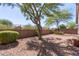 Backyard with gravel, trees and a block wall at 1713 W Morse Dr, Anthem, AZ 85086