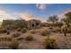Luxury home nestled on a hillside with desert landscaping at 9950 E Sundance Trl, Scottsdale, AZ 85262