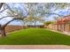 Artificial turf backyard with a soccer goal and raised garden beds at 18196 N 92Nd St, Scottsdale, AZ 85255