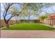 Artificial turf backyard with a soccer goal and raised garden beds at 18196 N 92Nd St, Scottsdale, AZ 85255