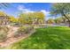 Landscaped lawn and tree-lined street in a community setting at 18196 N 92Nd St, Scottsdale, AZ 85255