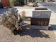 Single story home with gray exterior, landscaped yard, and a modern design at 6307 E Gelding Dr, Scottsdale, AZ 85254