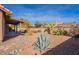 Landscaped backyard with stone pathway and desert plants at 14637 N Olympic Way, Fountain Hills, AZ 85268