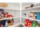 Well-organized pantry with ample shelving for storage at 26049 S 230Th St, Queen Creek, AZ 85142
