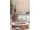 Stone fire pit in a landscaped backyard setting at 31538 N Larkspur Dr, San Tan Valley, AZ 85143