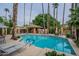 Community pool with lounge chairs and desert landscaping surrounded by tall palm trees at 10426 N 11Th St # 3, Phoenix, AZ 85020