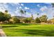Expansive grassy area with mature trees, lush greenery, and tall palm trees in the background at 10426 N 11Th St # 3, Phoenix, AZ 85020