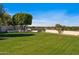 Spacious backyard with lush lawn, mature tree, and stone accents at 1233 E Salado Cir, Mesa, AZ 85203