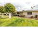 Front view of a light beige single-story building with two trees and a lawn at 13227 N 110Th Ave, Sun City, AZ 85351