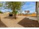 Home's yard featuring mature trees, desert landscaping, concrete patio, and block wall fencing at 42374 W Avella Dr, Maricopa, AZ 85138