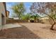 A spacious backyard with desert landscaping, mature trees, and block wall fencing for added privacy at 42374 W Avella Dr, Maricopa, AZ 85138