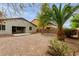 Expansive backyard featuring desert landscaping, a mature palm tree, and a covered patio at 42374 W Avella Dr, Maricopa, AZ 85138