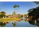 Calm water with palm trees and houses reflecting in the water at 563 W Champagne Dr, Chandler, AZ 85248