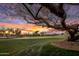 Golf course and tree at sunset at 17444 N 79Th St, Scottsdale, AZ 85255